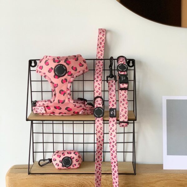 Poppy and Ted Pink Wild Leopard Adjustable Dog Harness, Collar and Lead