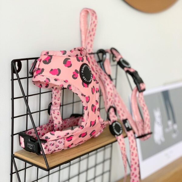Poppy and Ted Pink Wild Leopard Adjustable Dog Harness, Collar and Lead