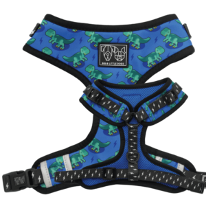 Big & Little Dogs 'Rawr' Dinosaur Print Adjustable Blue Dog Harness