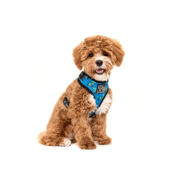 Cute dog wearing a Big & Little Dogs 'Rawr' Dinosaur Print Adjustable Blue Dog Harness