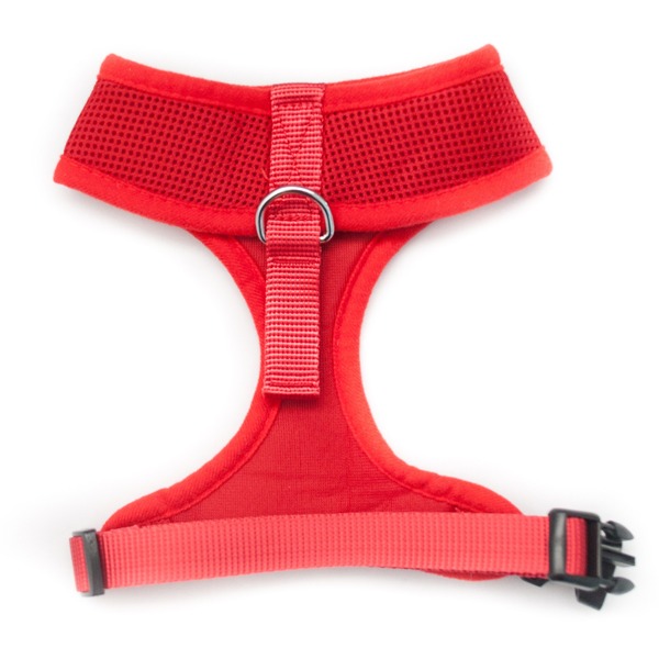 Back of Red Adjustable Padded Dog Harness by Wagytail