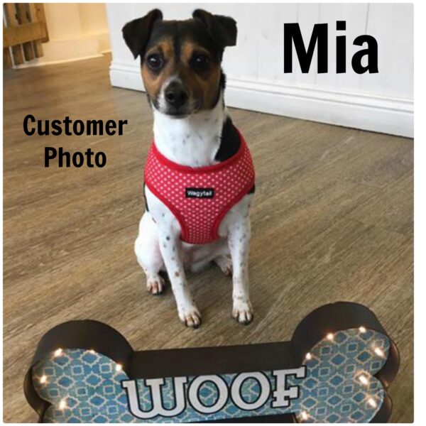 Customer photo