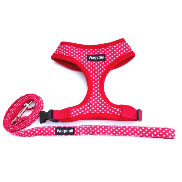 Red Dog Harness with White Polka Dots and matching lead by Wagytail