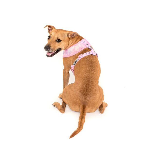 Staffie wearing a 'For Flocks Sake' Reversible Dog Harness with a flamingo and galaxy design by Big & Little Dogs