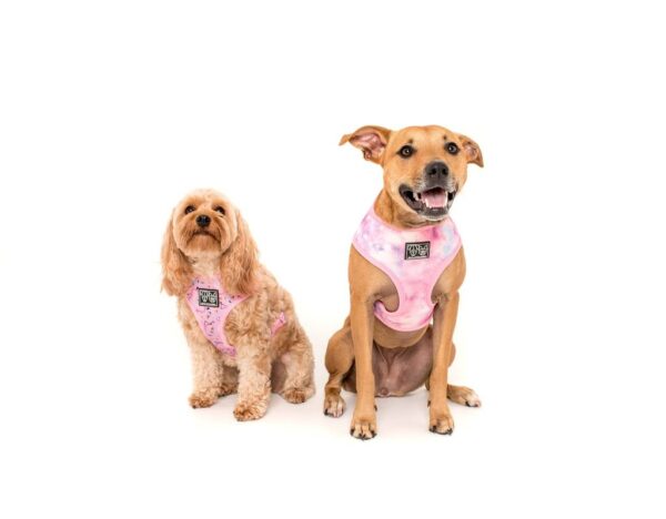 Dogs wearing a 'For Flocks Sake' Reversible Dog Harness with a flamingo and galaxy design by Big & Little Dogs