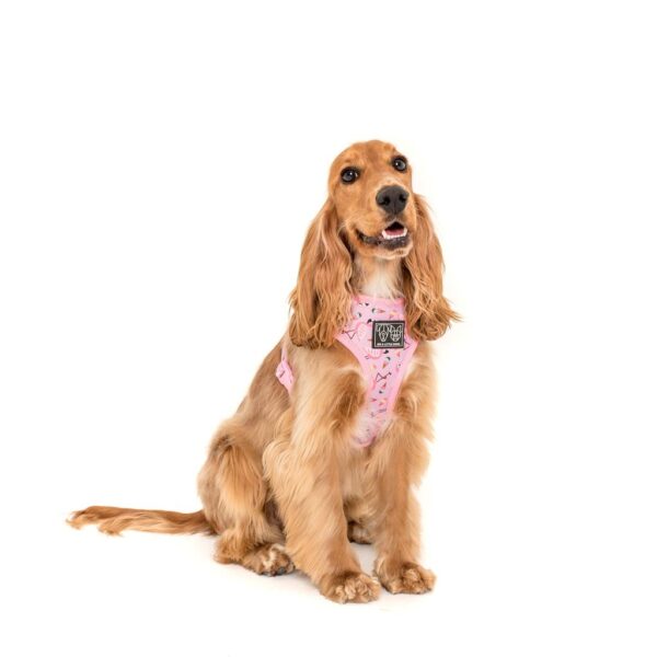 Dog wearing a 'For Flocks Sake' Reversible Dog Harness with a flamingo and galaxy design by Big & Little Dogs