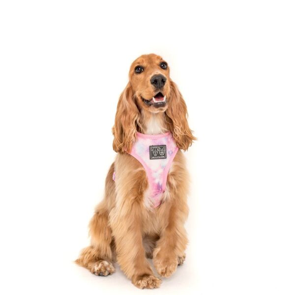 Dog wearing a 'For Flocks Sake' Reversible Dog Harness with a flamingo and galaxy design by Big & Little Dogs