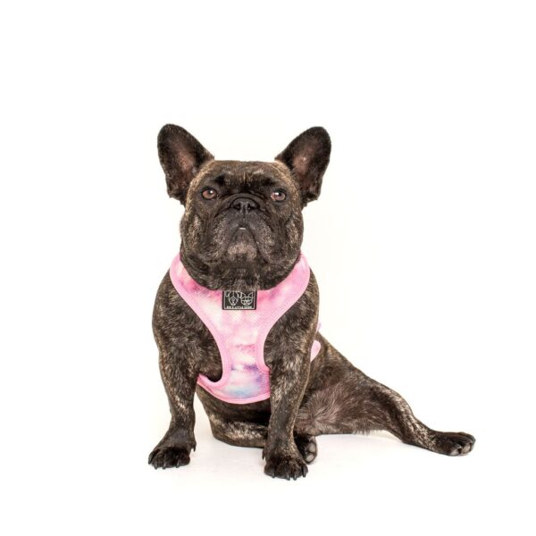 French Bulldog wearing a 'For Flocks Sake' Reversible Dog Harness with a flamingo and galaxy design by Big & Little Dogs