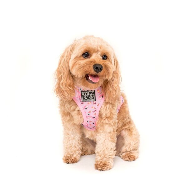 Cute dog wearing a 'For Flocks Sake' Reversible Dog Harness with a flamingo and galaxy design by Big & Little Dogs