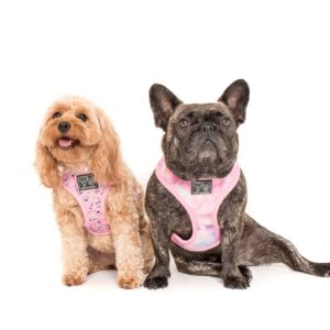 Two dogs wearing a 'For Flocks Sake' Reversible Dog Harness with a flamingo and galaxy design by Big & Little Dogs