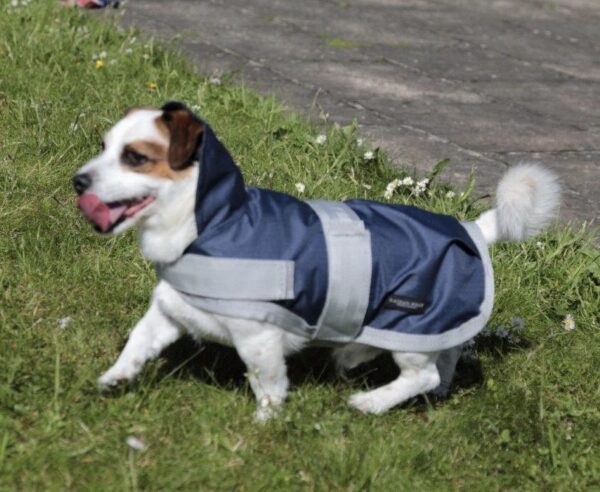 Rachael Kelly Equestrian Blue Waterproof Dog Coat