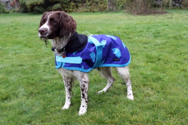 Rachael Kelly Equestrian Blue Umbrellas Waterproof Dog Coat