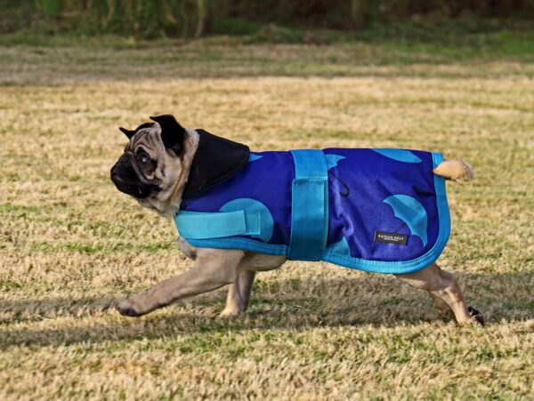 Rachael Kelly Equestrian Blue Umbrellas Waterproof Dog Coat