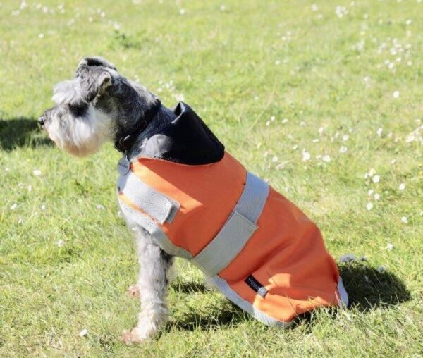 Rachael Kelly Equestrian Orange Waterproof Dog Coat