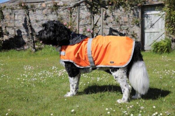 Rachael Kelly Equestrian Orange Waterproof Dog Coat