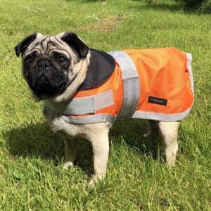 Rachael Kelly Equestrian Orange Waterproof Dog Coat