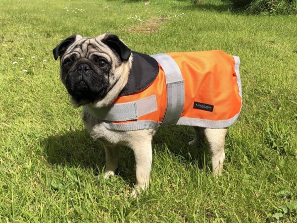 Rachael Kelly Equestrian Orange Waterproof Dog Coat