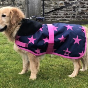 Rachael Kelly Equestrian Pink Stars Waterproof Dog Coat