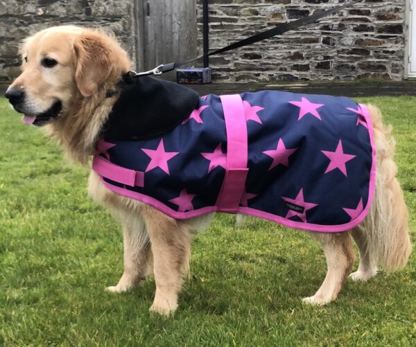Rachael Kelly Equestrian Pink Stars Waterproof Dog Coat