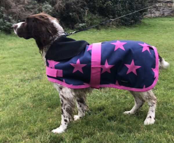 Rachael Kelly Equestrian Pink Stars Waterproof Dog Coat