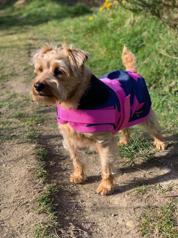 Rachael Kelly Equestrian Pink Stars Waterproof Dog Coat