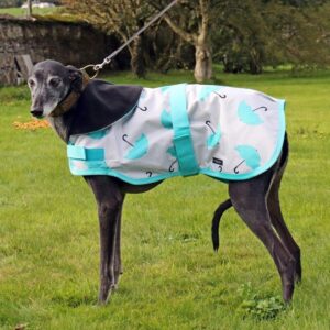 Rachael Kelly Equestrian Teal Umbrellas Waterproof Dog Coat