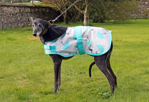 Rachael Kelly Equestrian Teal Umbrellas Waterproof Dog Coat