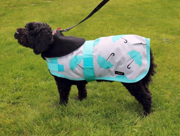 Rachael Kelly Equestrian Teal Umbrellas Waterproof Dog Coat