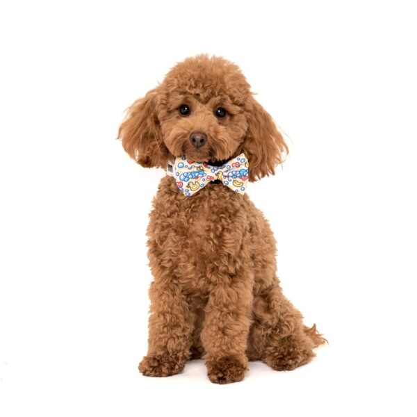 Cute dog wearing a Big & Little Dogs 'Rubber Ducky' Rubber Duck Yellow Dog Collar and Detachable Bow Tie