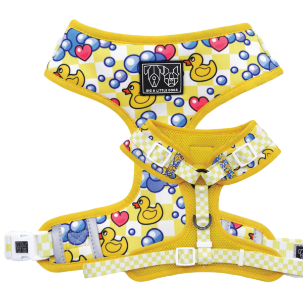 Big & Little Dogs 'Rubber Ducky' rubber duck print adjustable yellow dog harness