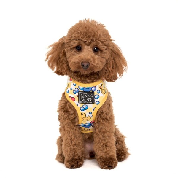 Cute dog wearing a Big & Little Dogs 'Rubber Ducky' rubber duck print adjustable yellow dog harness