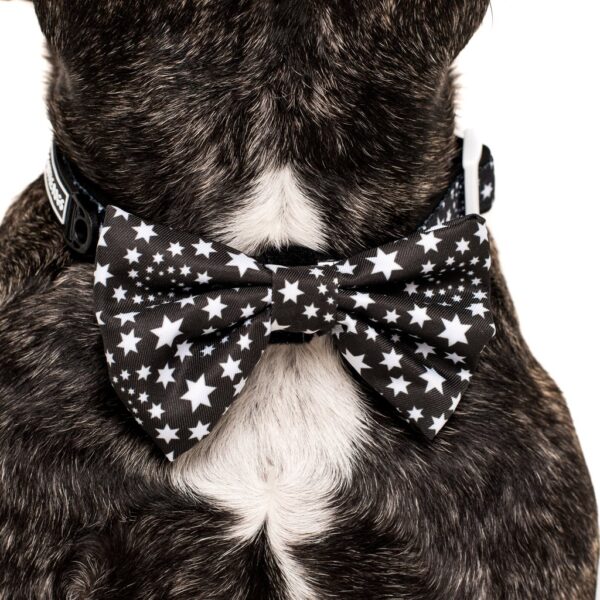 Big & Little Dogs 'Shoot For The Stars' star print black dog collar and detachable bow tie