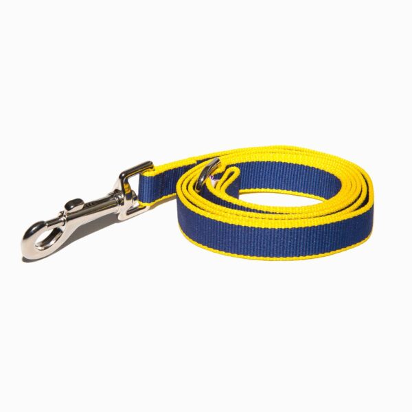 Blue / Yellow Soho Dog Lead by Purple Bone