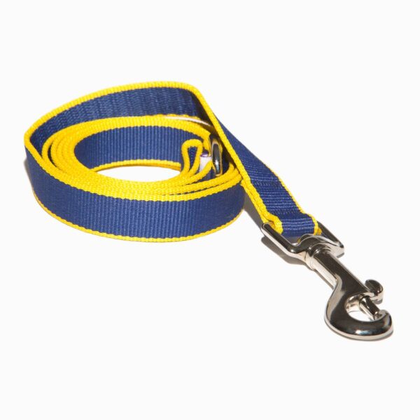 Blue / Yellow Soho Dog Lead by Purple Bone