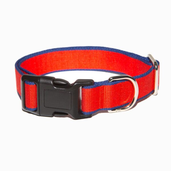 Red nylon adjustable dog collar with a blue trim and black clip fastener by Purple Bone