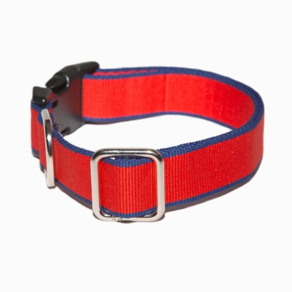Red nylon adjustable dog collar with a blue trim and black clip fastener by Purple Bone