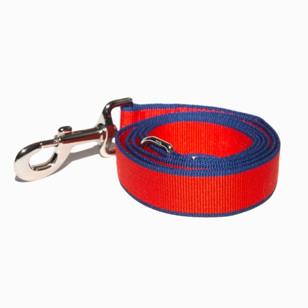Red nylon clip dog lead with a blue trim by Purple Bone