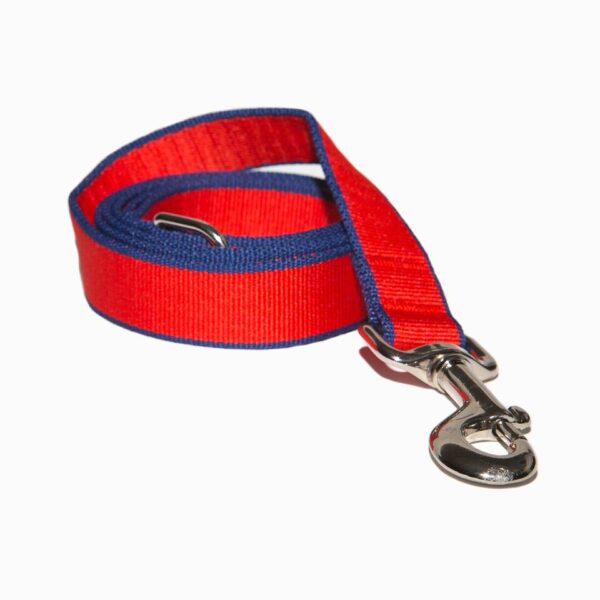 Red nylon clip dog lead with a blue trim by Purple Bone