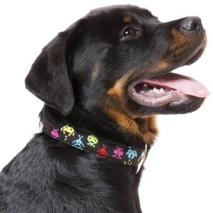 Rottweiler wearing Space Raiders Dog Collar by FuzzYard