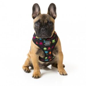 French Bulldog wearing a Space Raiders Dog Harness by FuzzYard