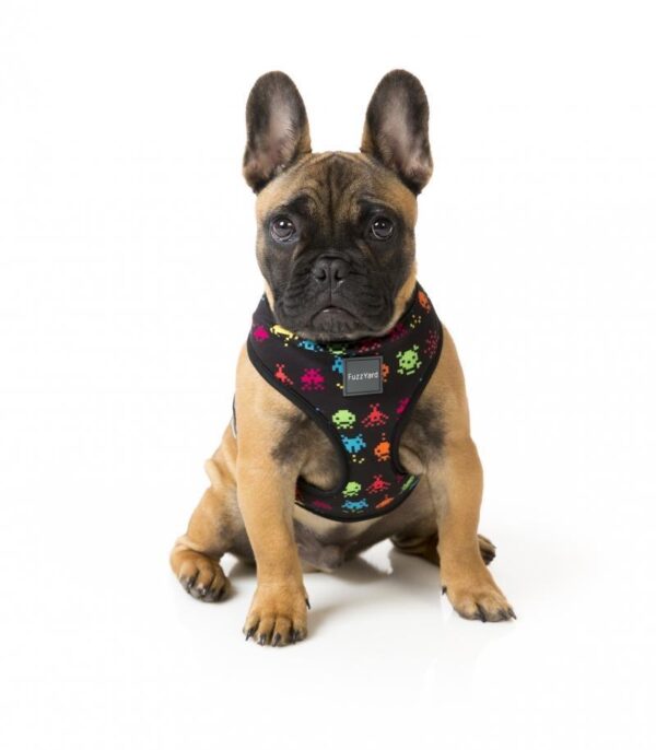 French Bulldog wearing a Space Raiders Dog Harness by FuzzYard