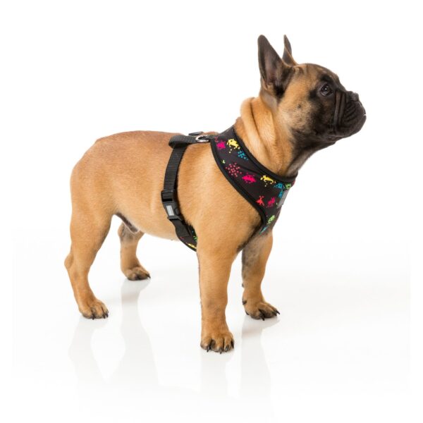 French Bulldog wearing a Space Raiders Dog Harness by FuzzYard