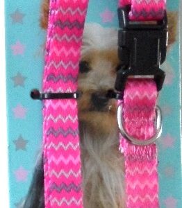 Puppy & Co Striped Zig Zag Puppy Collar and Lead Set