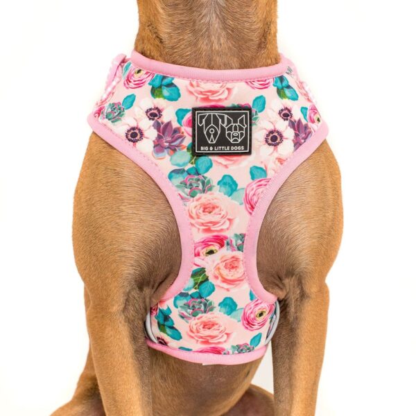Big & Little Dogs 'I'm a Succa for You' Succulent and Floral Print Adjustable Dog Harness