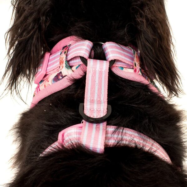 Big & Little Dogs 'I'm a Succa for You' Succulent and Floral Print Adjustable Dog Harness