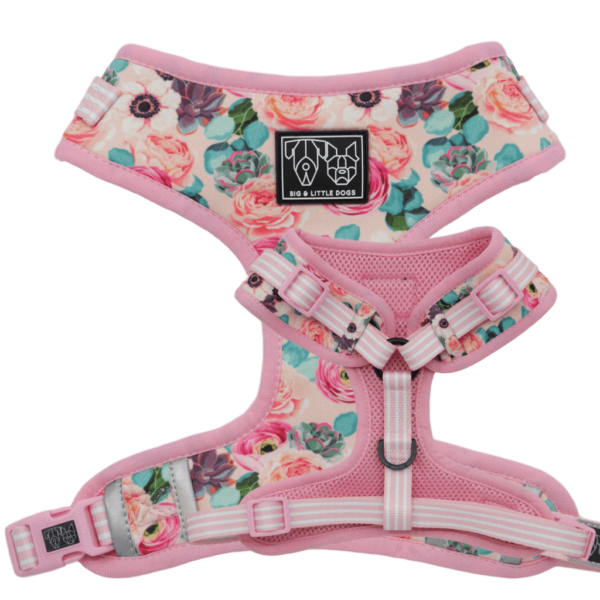 Big & Little Dogs 'I'm a Succa for You' Succulent and Floral Print Adjustable Dog Harness