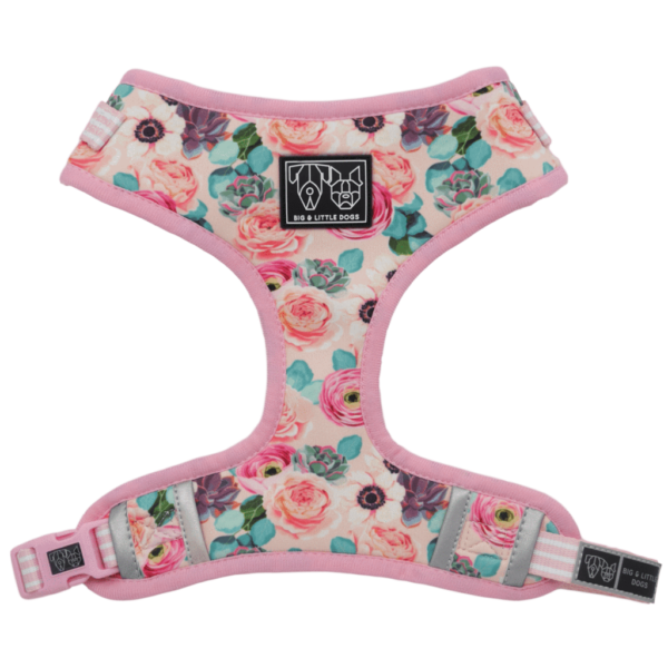 Big & Little Dogs 'I'm a Succa for You' Succulent and Floral Print Adjustable Dog Harness