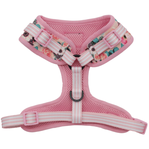 Big & Little Dogs 'I'm a Succa for You' Succulent and Floral Print Adjustable Dog Harness