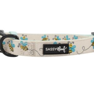 Sassy Woof 'Bee Sassy' Bee Print Dog Collar