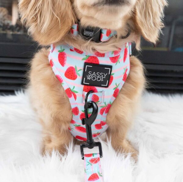 Sassy Woof 'I Woof You Berry Much' Strawberry Print Adjustable Dog Harness